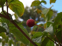 ���}�{�E�V�@2011.9.11