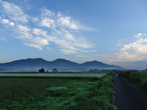 大山と花