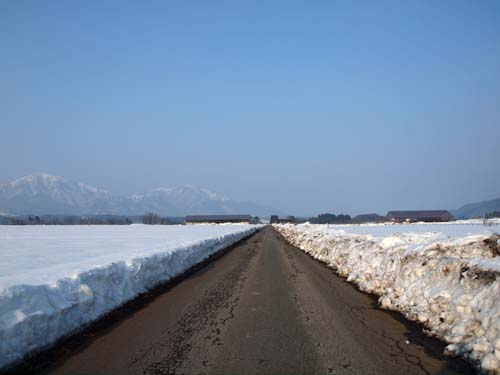 蒜山日記　Gallery　豪雪の跡