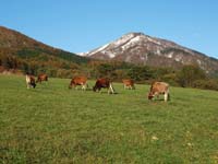 蒜山高原への誘い 蒜山の四季